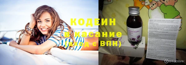 индика Магадан