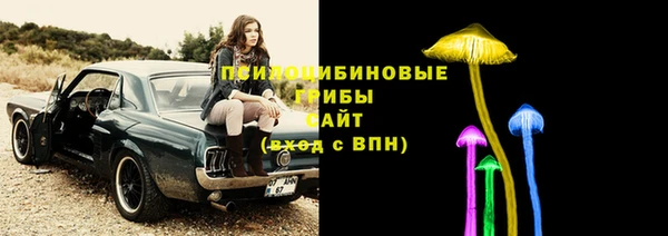 Альфа ПВП Майский
