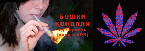 не бодяженный Магас