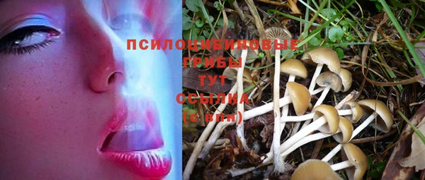 не бодяженный Магас