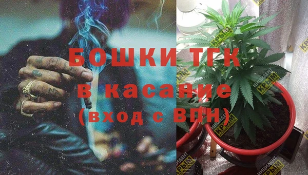 индика Магадан