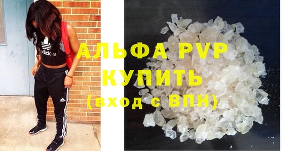 Альфа ПВП Майский